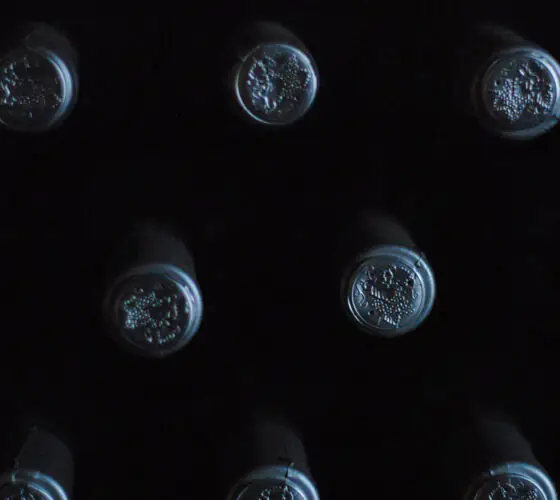 Where to buy wine in Riga: 7 proven places