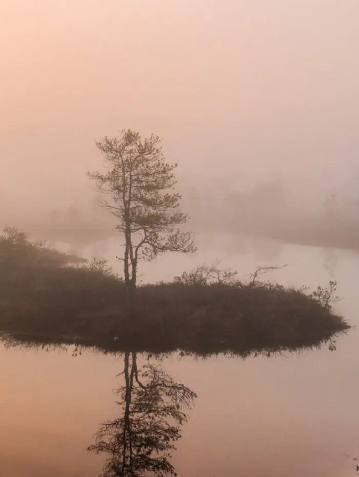 4 national parks in Latvia: what to see and what to do