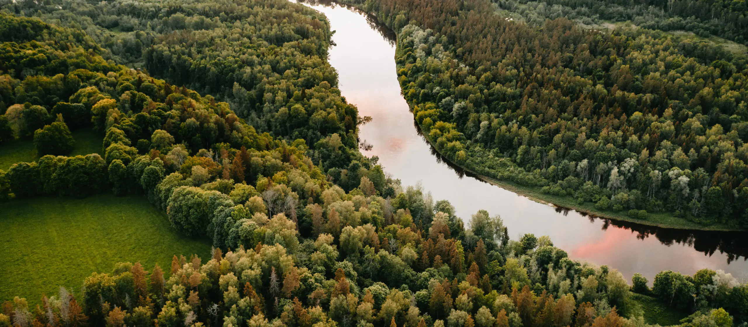 Meža taka: Pārgājienu maršruts E11