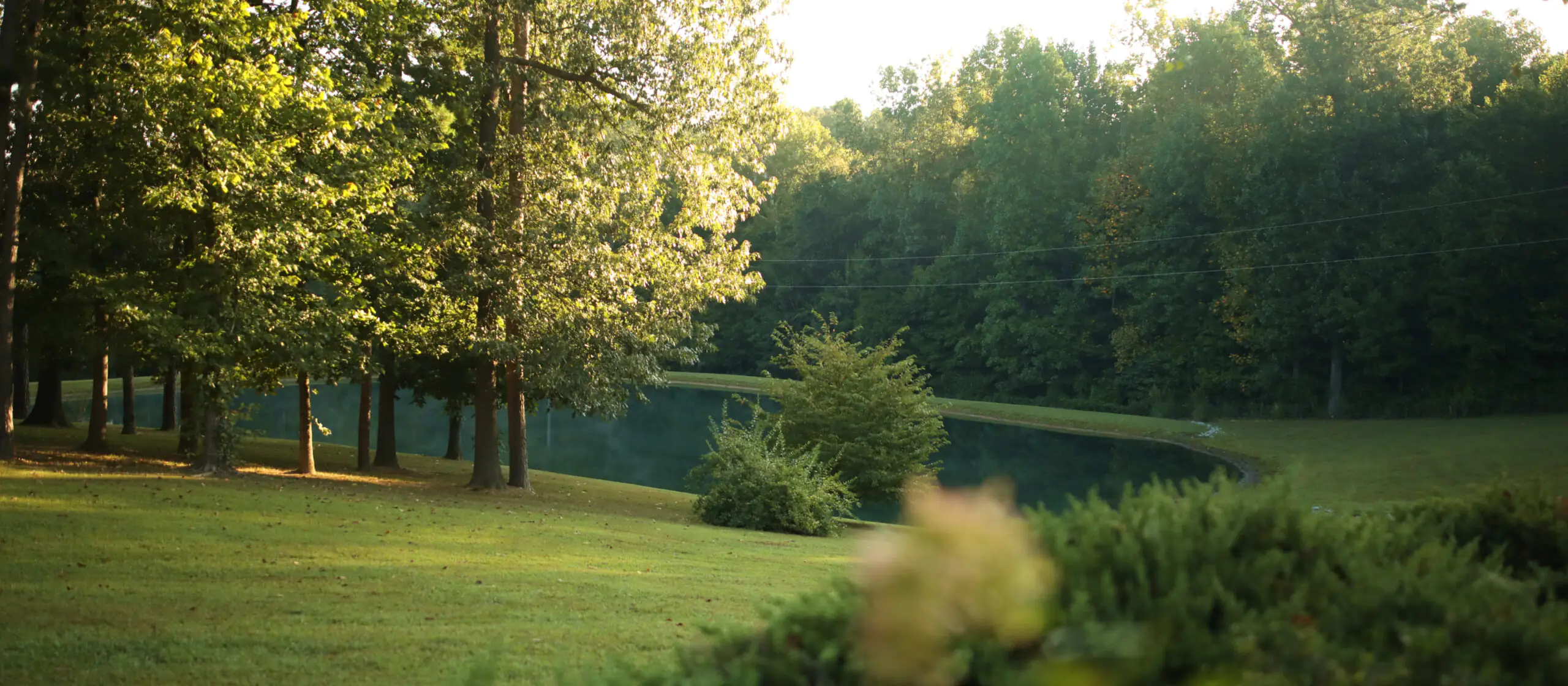 Green oasis in the city rush: 10 picturesque parks in Riga