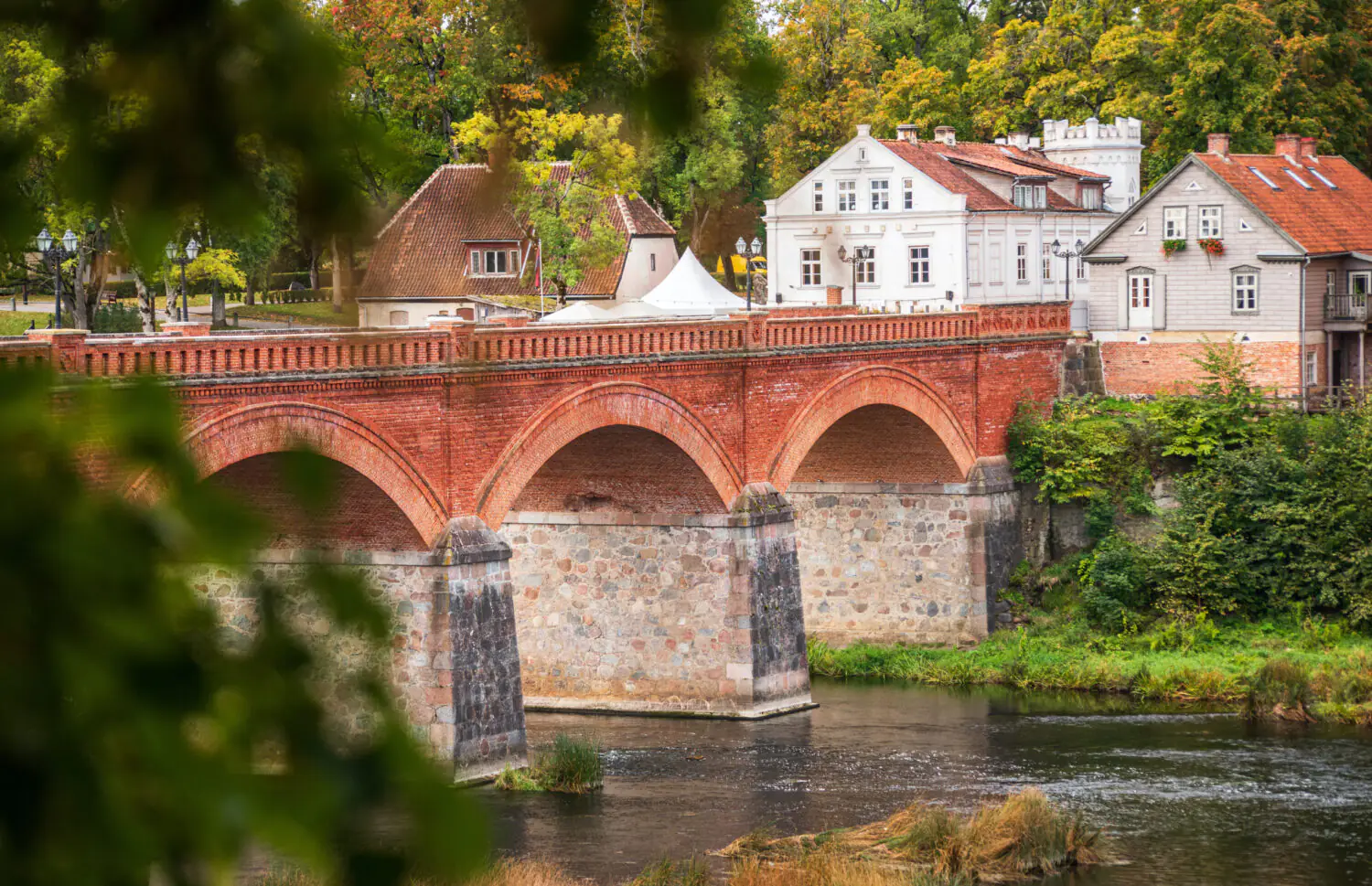 Meža taka: Pārgājienu maršruts E11