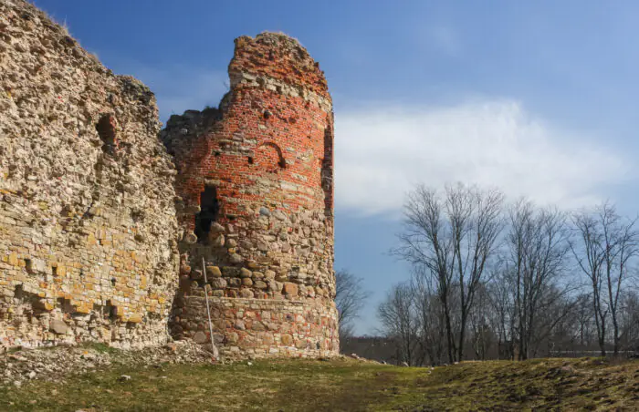 Meža taka: Pārgājienu maršruts E11