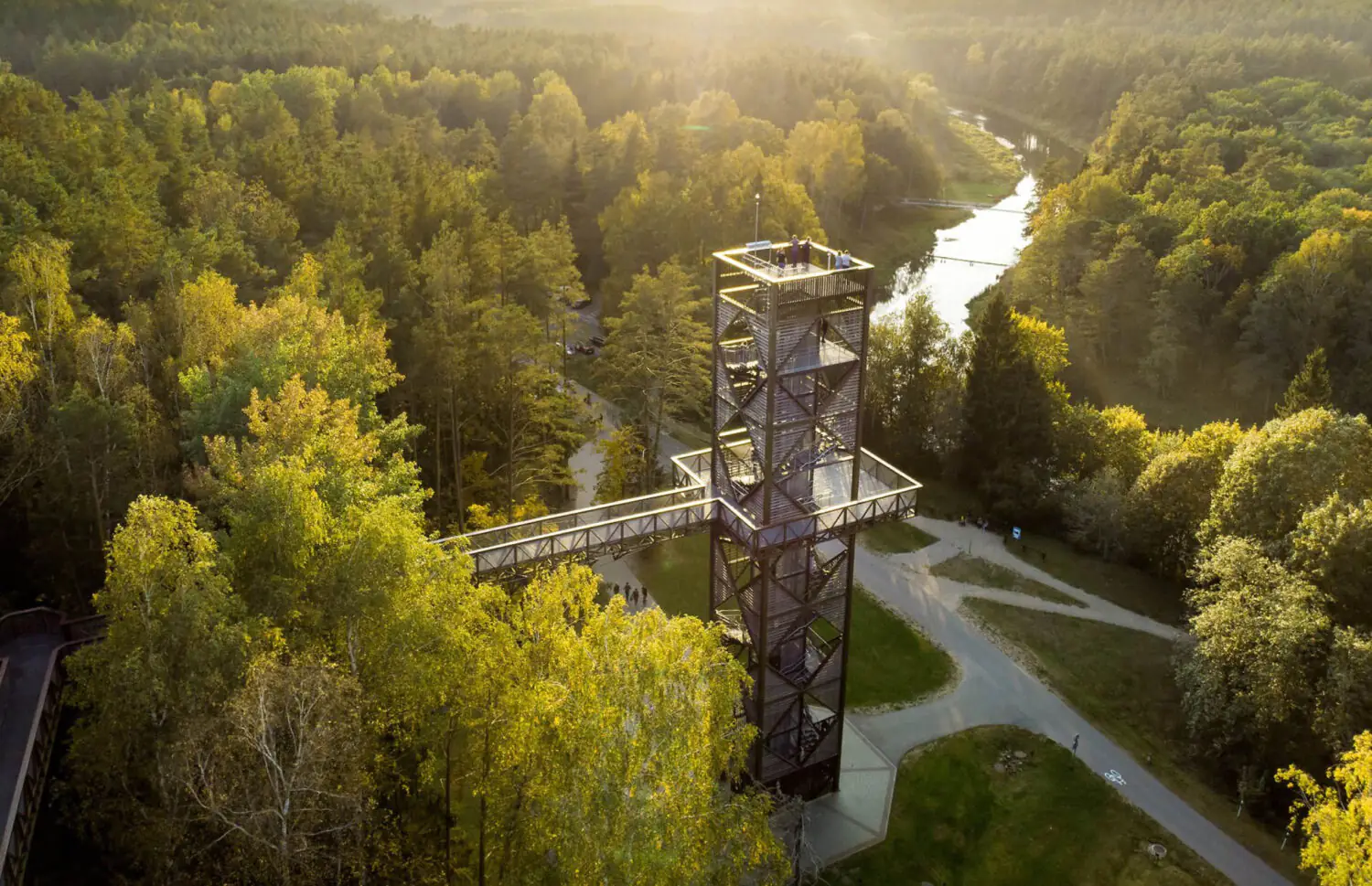 Среди деревьев: 15 самых необычных смотровых башен Балтии 
