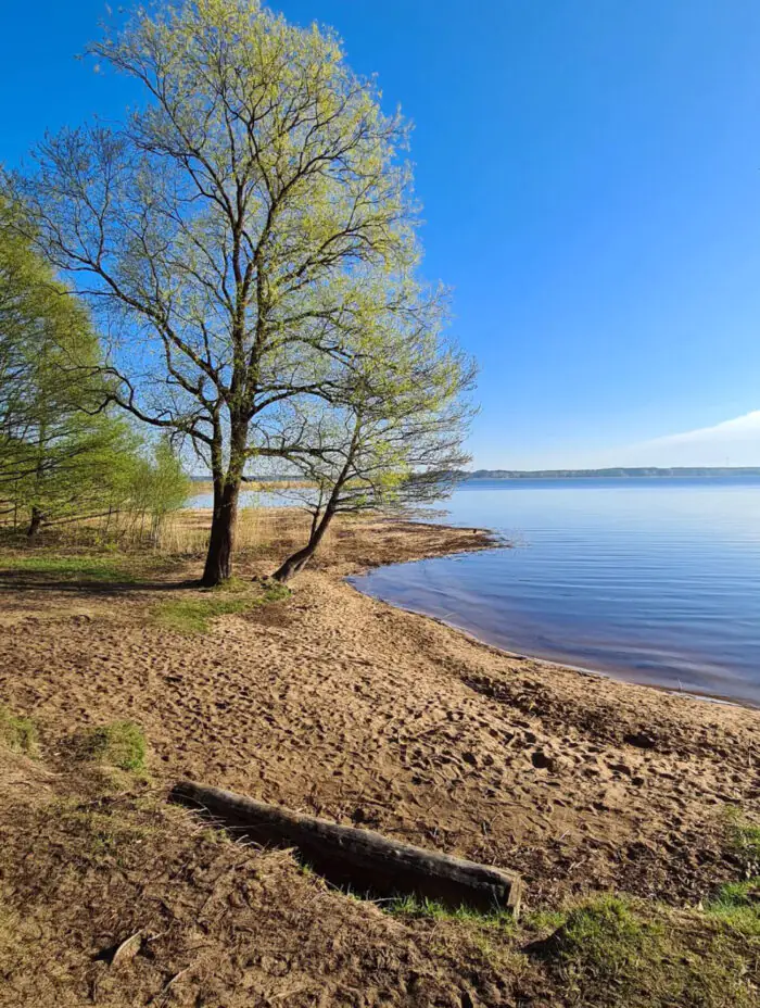 Green oasis in the city rush: 10 picturesque parks in Riga