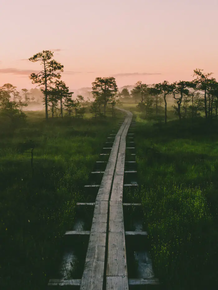 Forest Trail: hiking route E11  