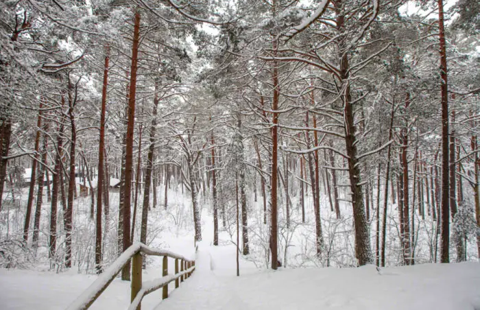 Jūrmala: ūdens valstības dabas izpēte