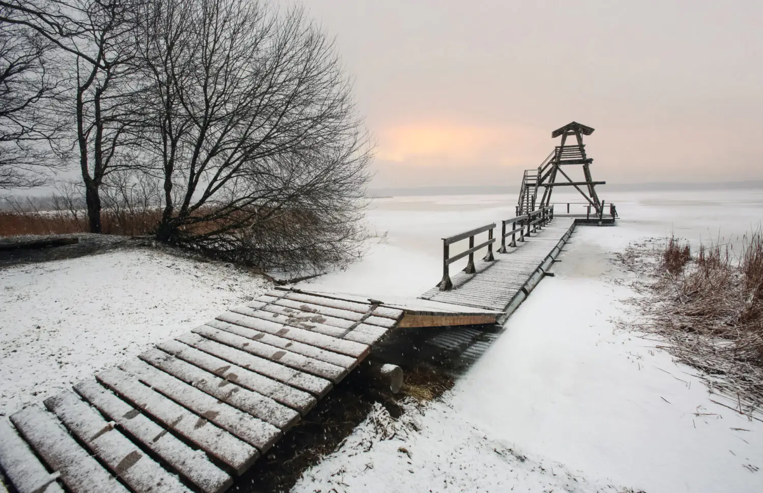 Jūrmala: ūdens valstības dabas izpēte