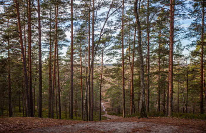 Jūrmala: ūdens valstības dabas izpēte