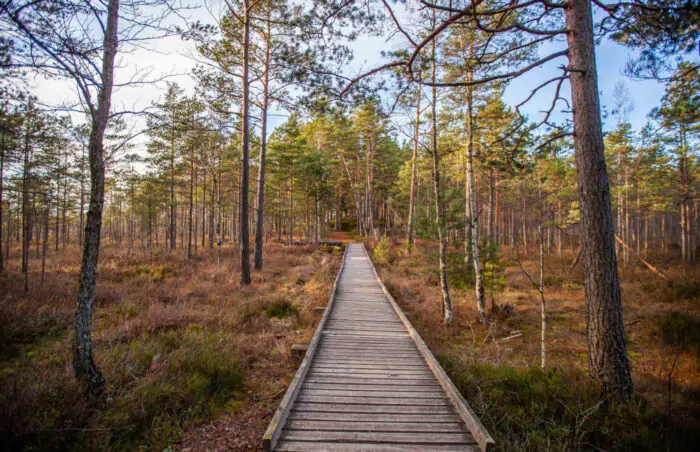 Jūrmala: ūdens valstības dabas izpēte