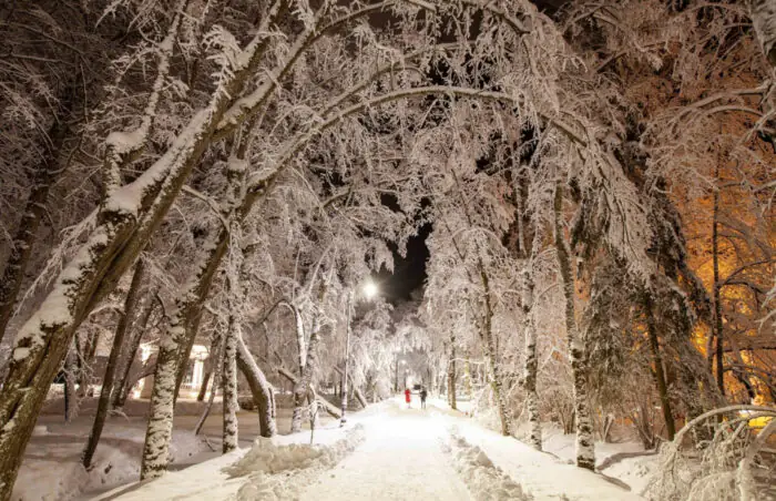 Jūrmala: ūdens valstības dabas izpēte