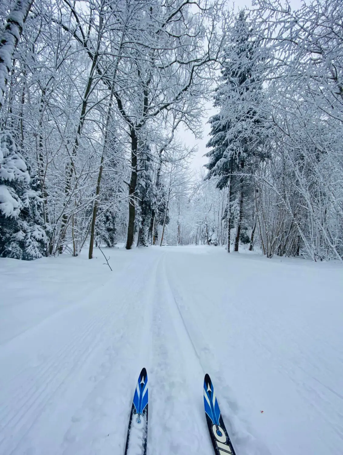 While it&#8217;s snowy. Where to find the best ski slopes in Latvia