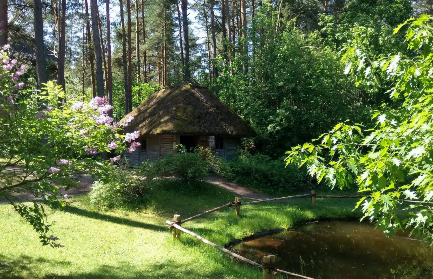 Aizbēgt no pilsētas: 10 mierīgas piknika vietas Latvijā
