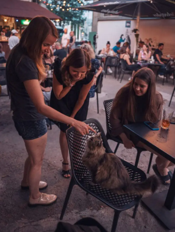 Pet-Friendly город: куда зайти в Риге с четвероногим другом 