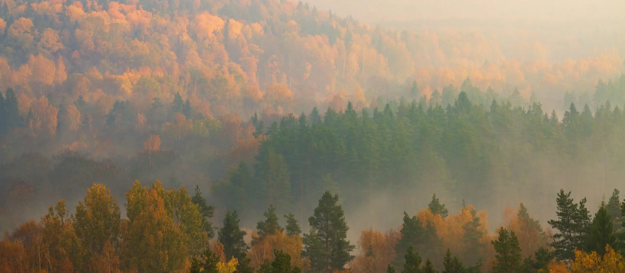 Rudens ceļvedis: Sigulda