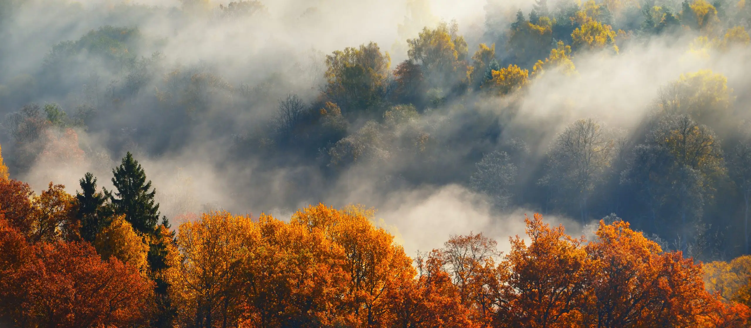 Rudens ceļvedis: Sigulda