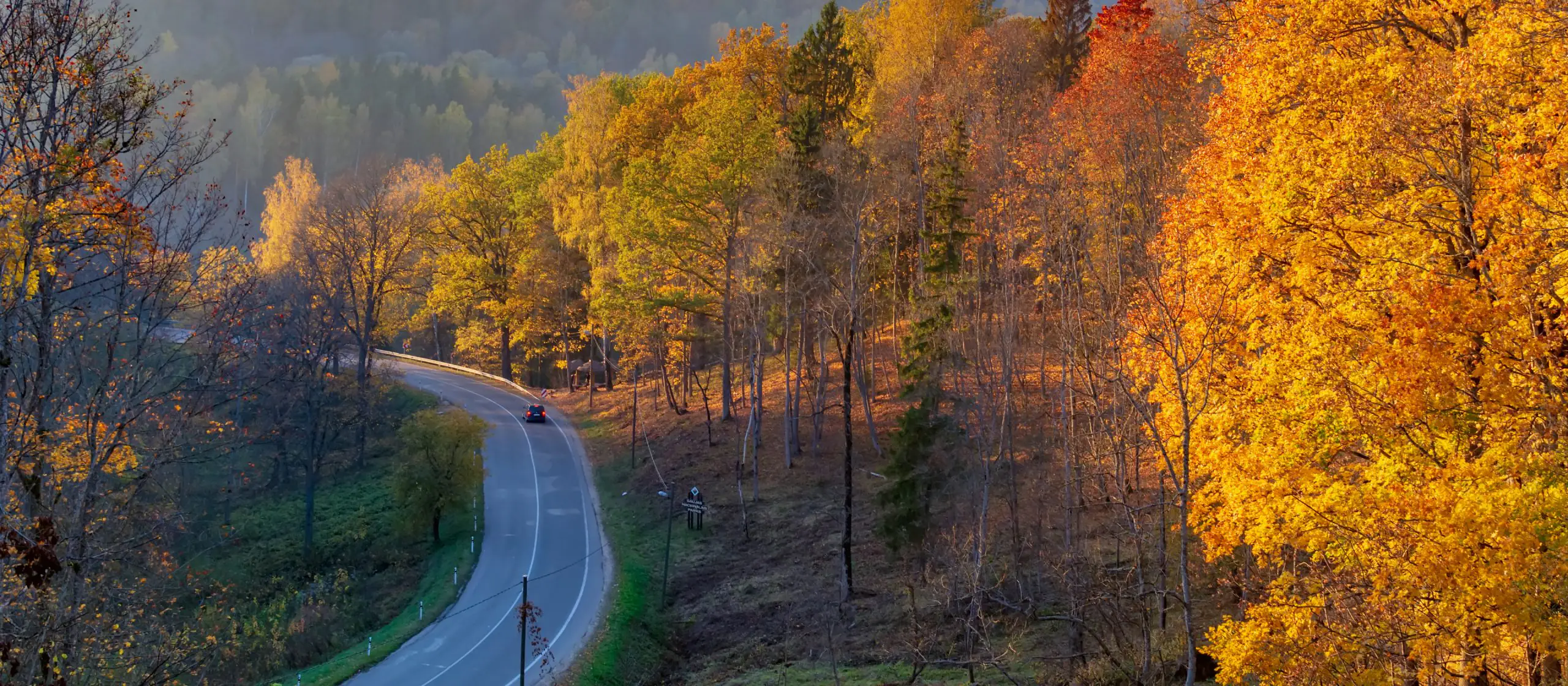 Rudens ceļvedis: Sigulda