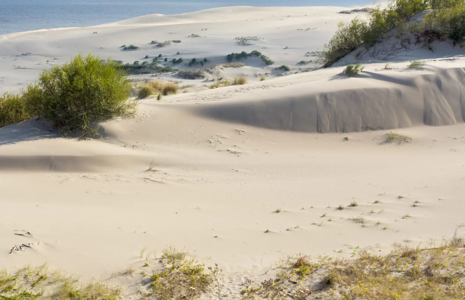 A gem of international hiking: the E9 Baltic Coastal Hiking route