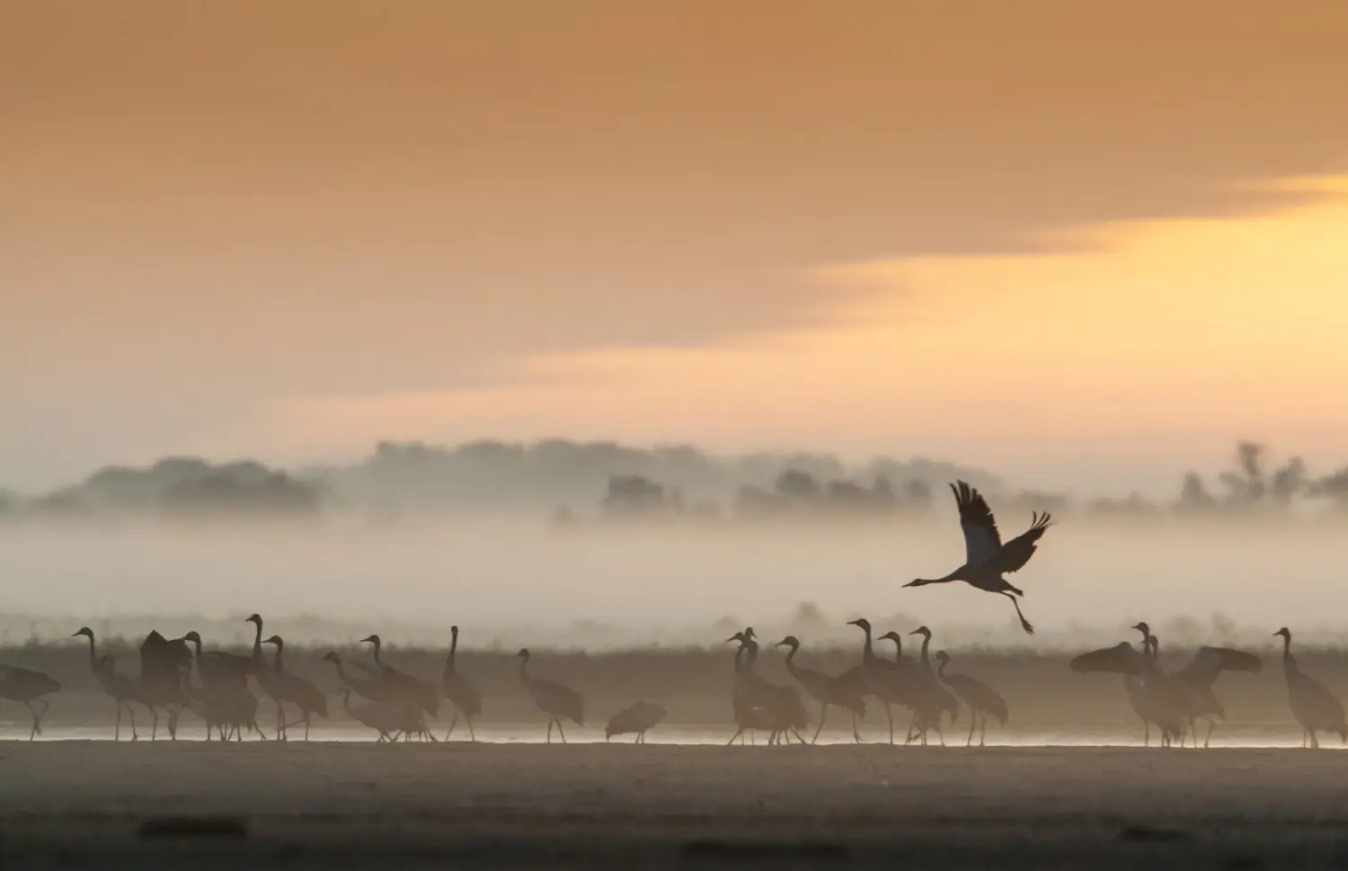 A gem of international hiking: the E9 Baltic Coastal Hiking route