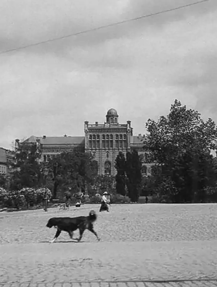 Latvian University