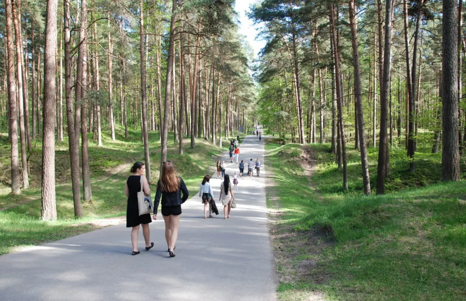 Rīgas skrējēju ceļvedis: Treniņi, trases un apkaimes