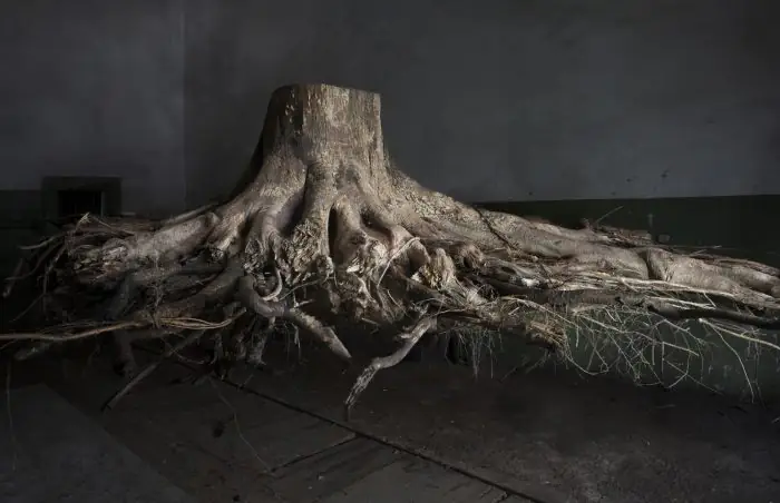 Venice Biennale 2025: Showcases of the Baltic States