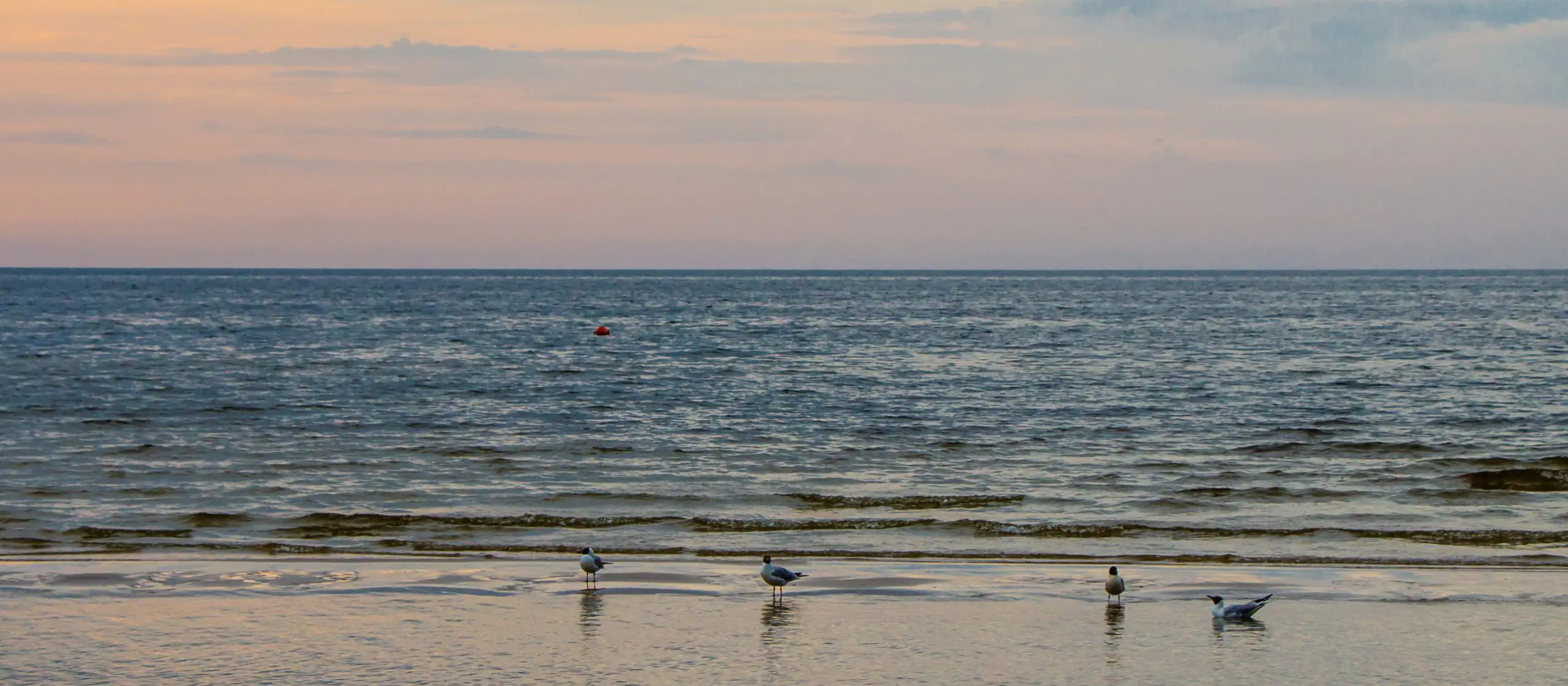 Summer is here: what to do in Riga and its surroundings without going far