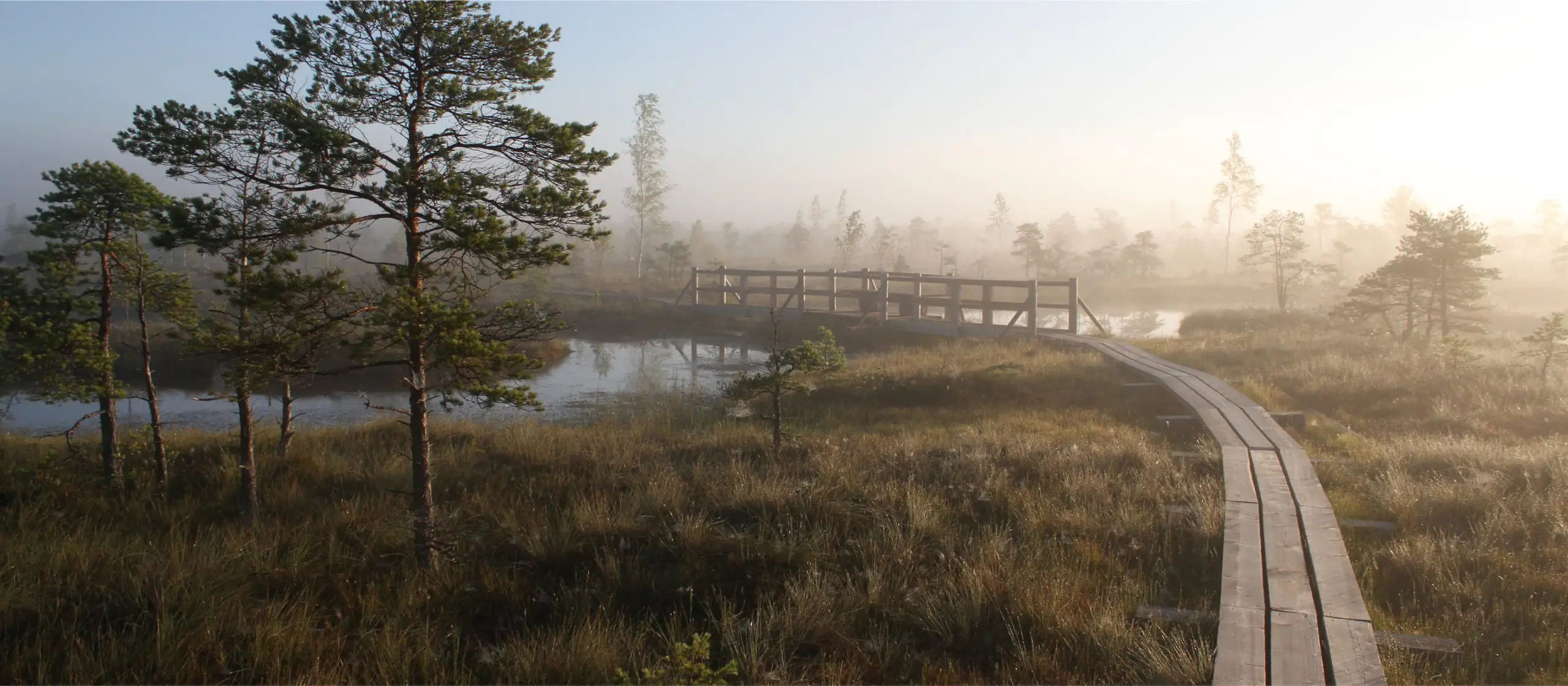 Summer is here: what to do in Riga and its surroundings without going far