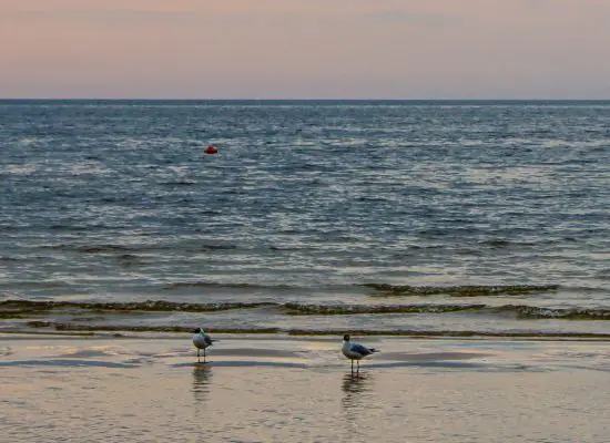 Summer is here: what to do in Riga and its surroundings without going far