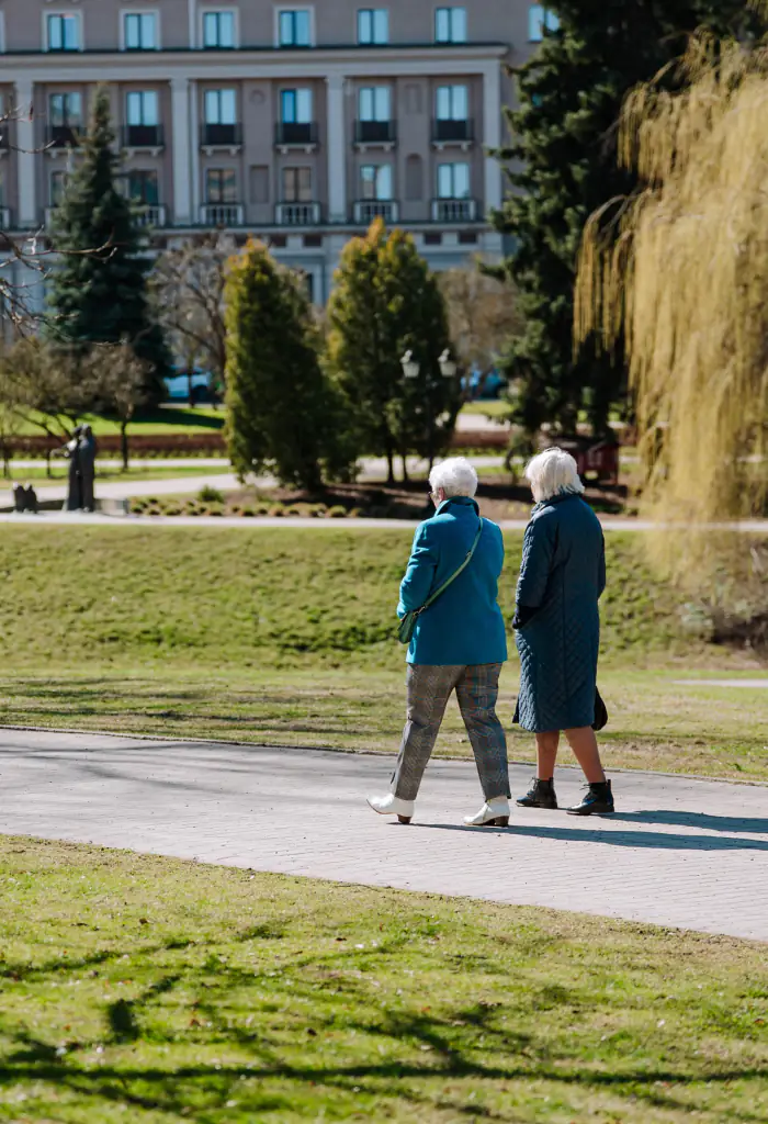 Flâneur: An Urban Lens on Everyday City Movement
