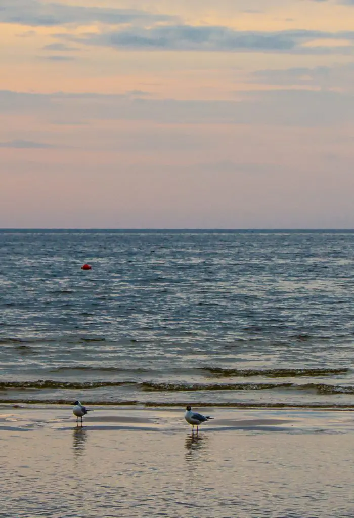 Summer is here: what to do in Riga and its surroundings without going far