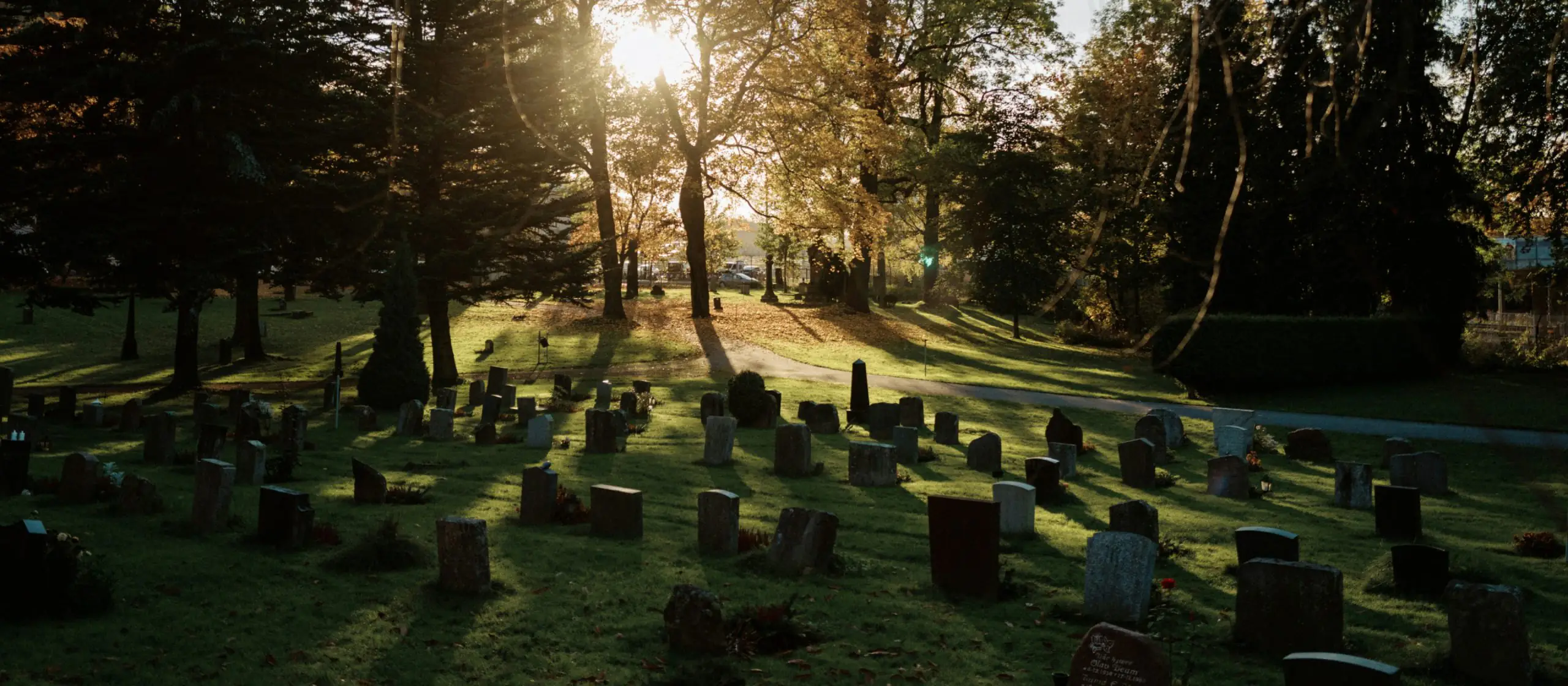 A New Perspective on Cemeteries in Scandinavia