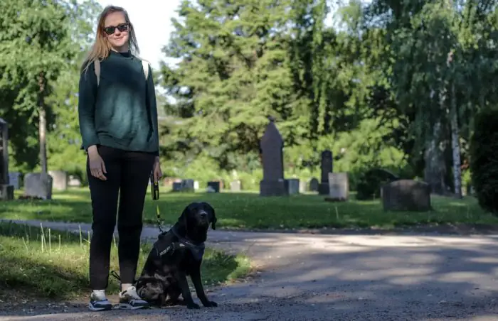 A New Perspective on Cemeteries in Scandinavia
