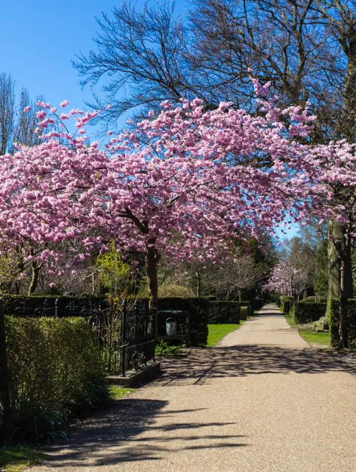 A New Perspective on Cemeteries in Scandinavia