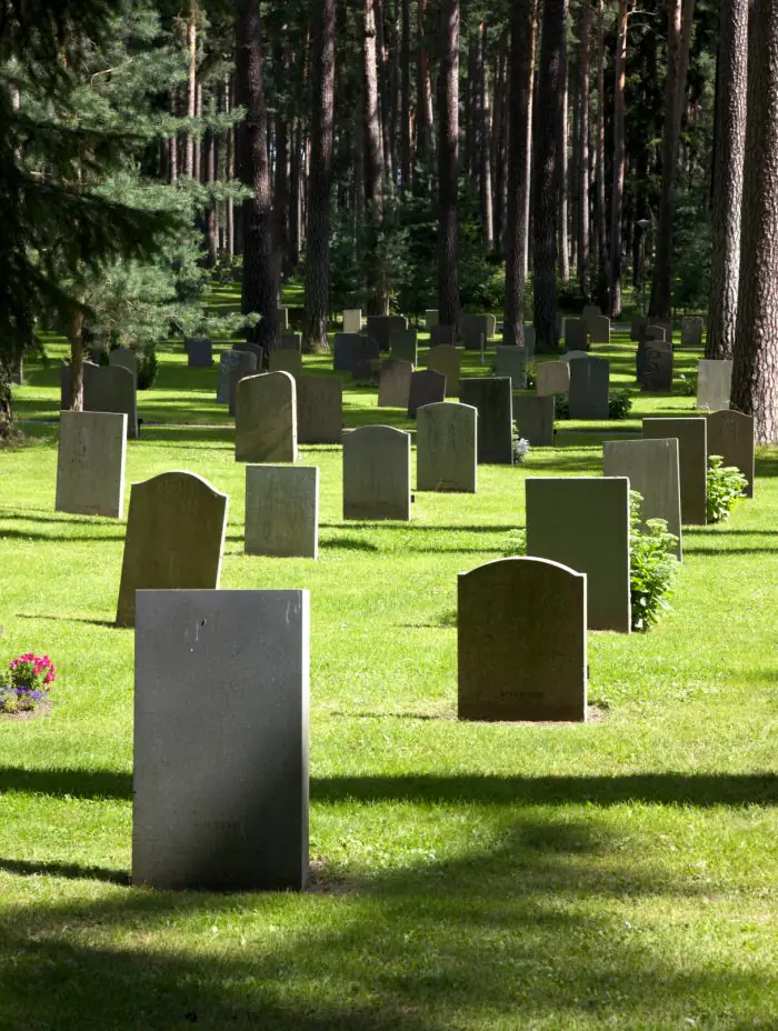 A New Perspective on Cemeteries in Scandinavia
