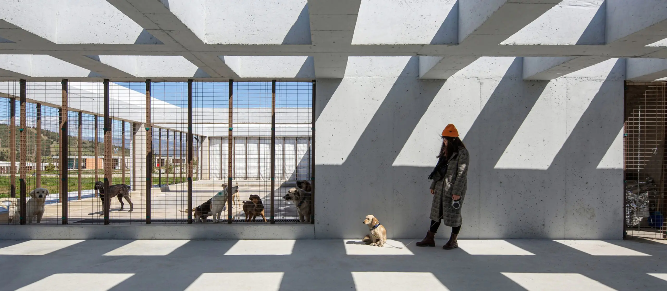 Patversmes pet-friendly pilsētās