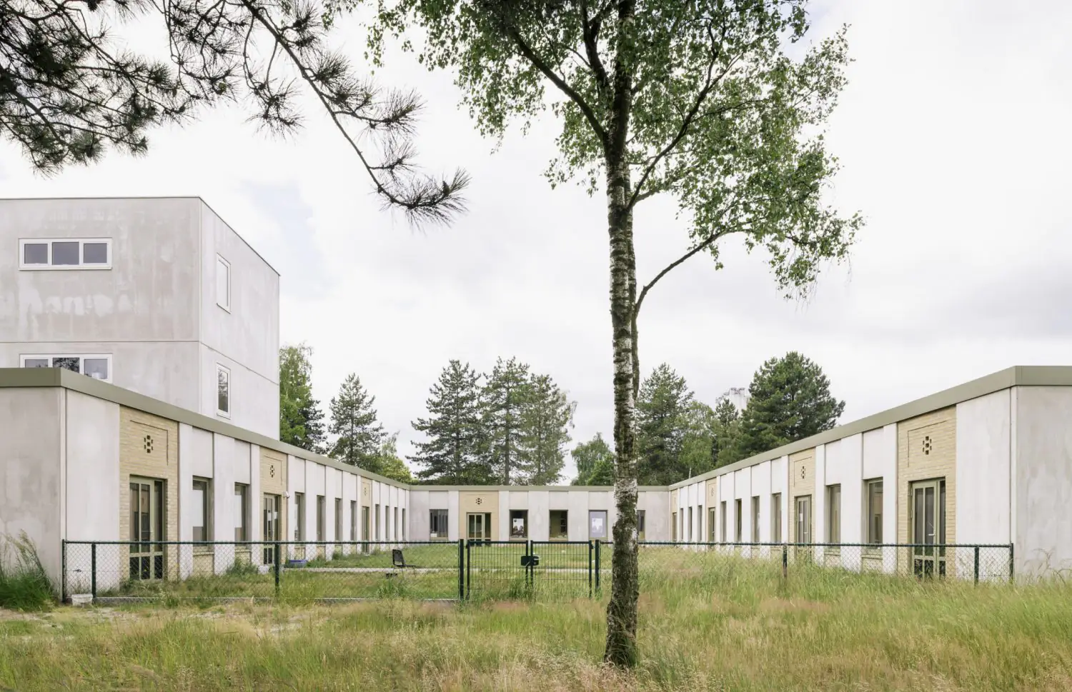 Patversmes pet-friendly pilsētās