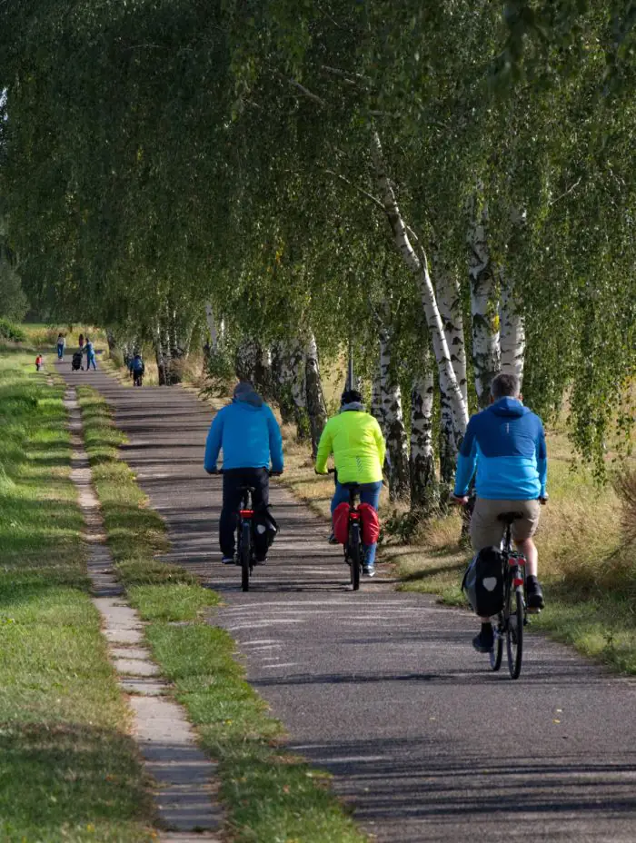 Kā saudzīgi ieviest velovidi: 4 piemēri