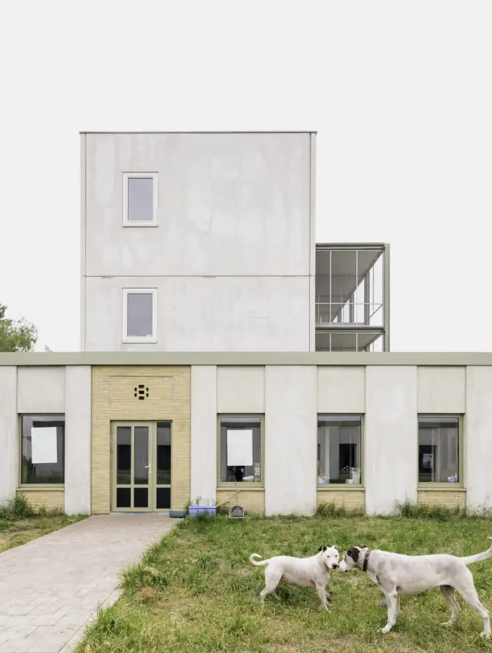 Patversmes pet-friendly pilsētās