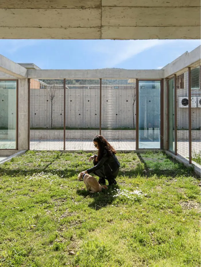 Patversmes pet-friendly pilsētās
