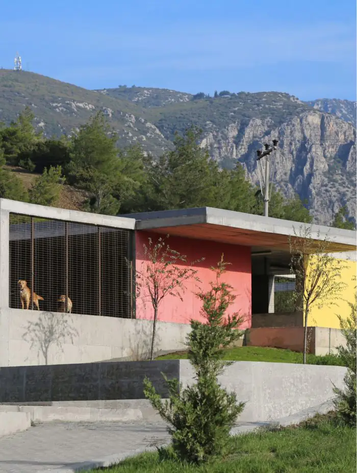Patversmes pet-friendly pilsētās
