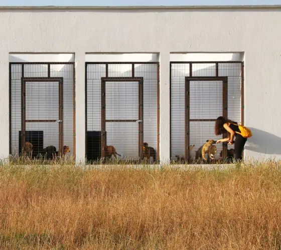 Patversmes pet-friendly pilsētās