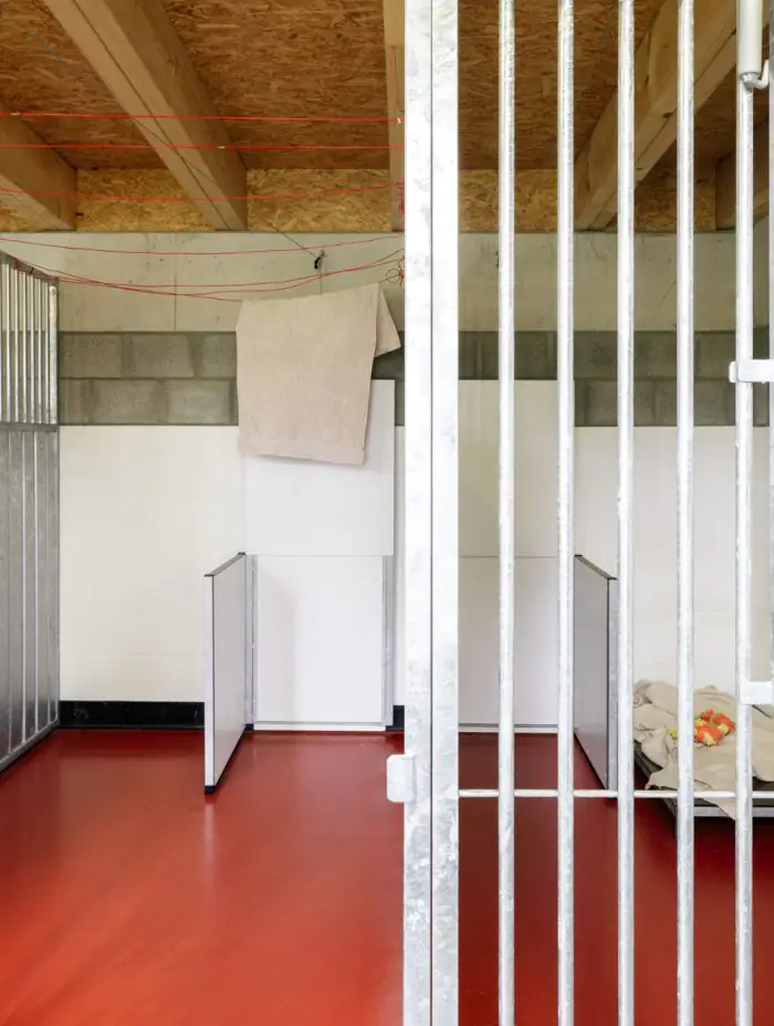 Patversmes pet-friendly pilsētās