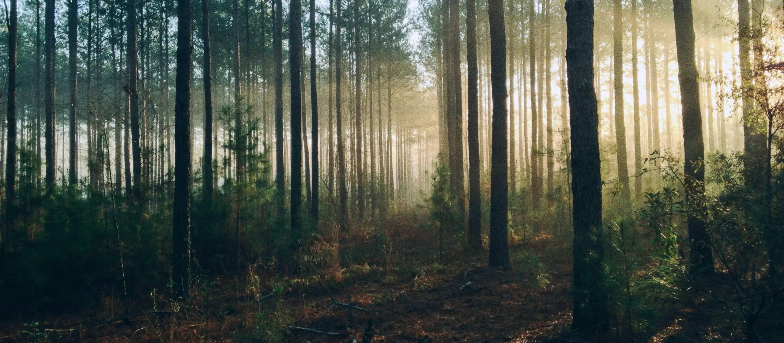 Biohacking in the city: simple ways to support yourself