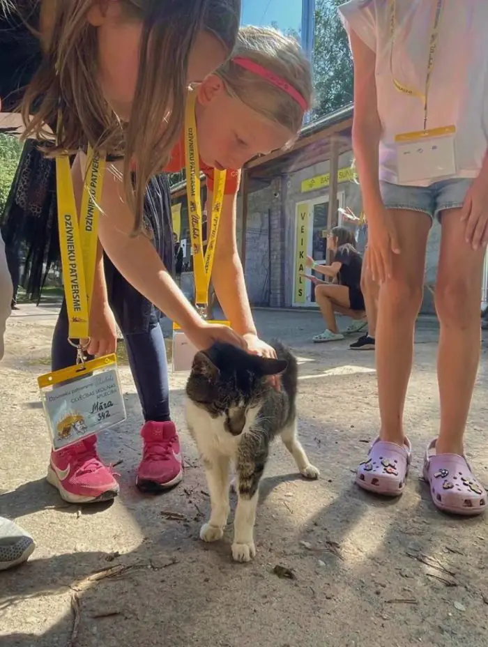 Kad ir vēlēšanās darīt kaut ko labu: brīvprātīgā darba iespējas Rīgā