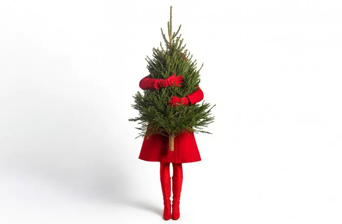 Chasing the light — in theatres. What to see in Riga during the Christmas holidays