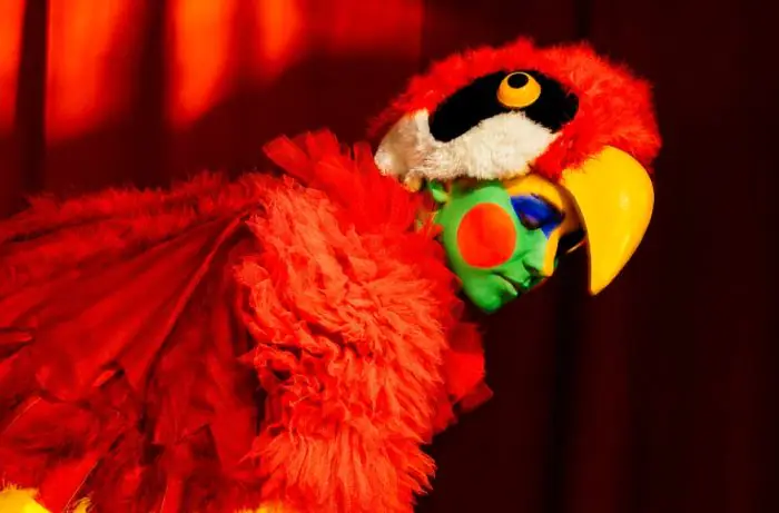 Chasing the light — in theatres. What to see in Riga during the Christmas holidays