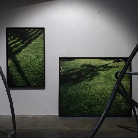 Man’s Absurd Projects on Earth