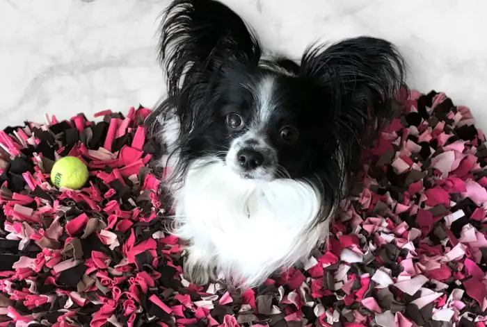 Welcome to all: <br>7 inclusive projects in the Baltic States