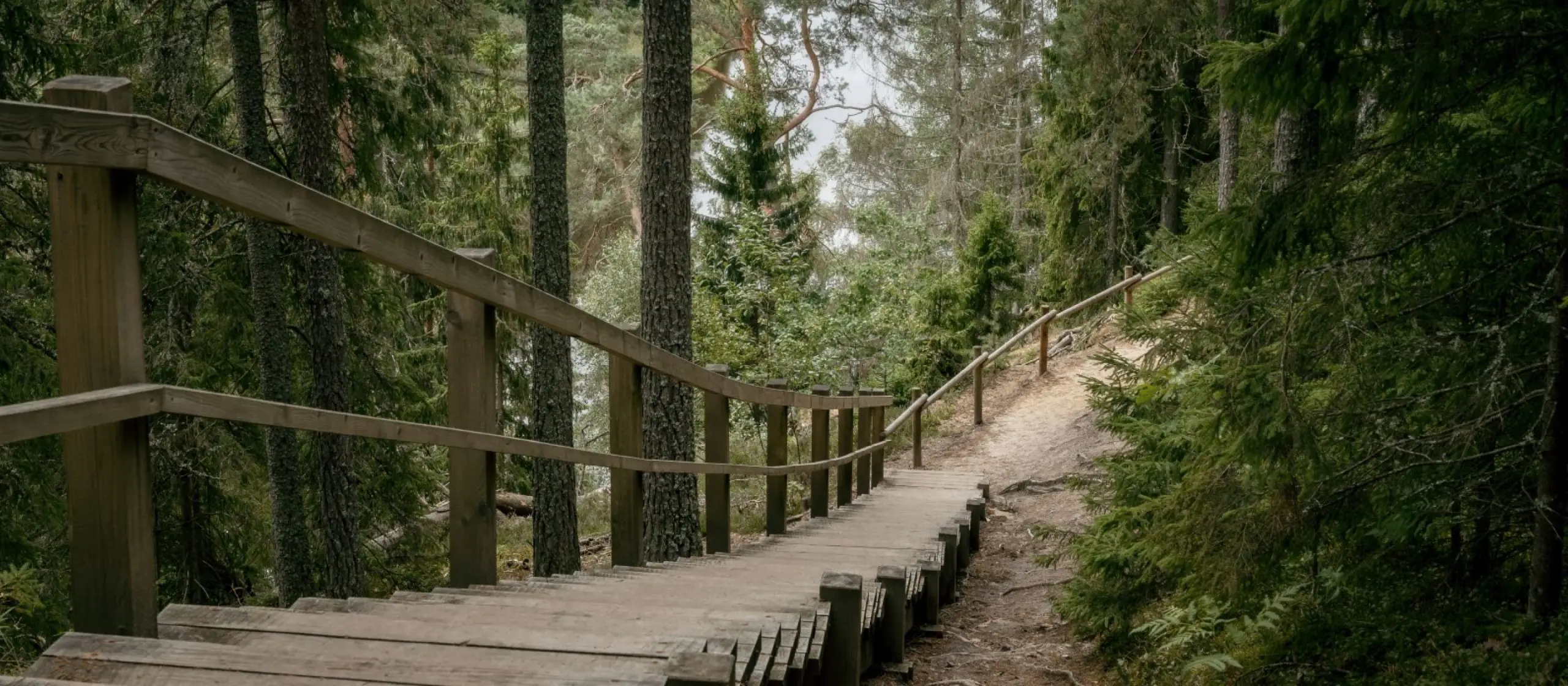 Oriģinālas idejas vecmeitu un vecpuišu ballītēm Rīgā