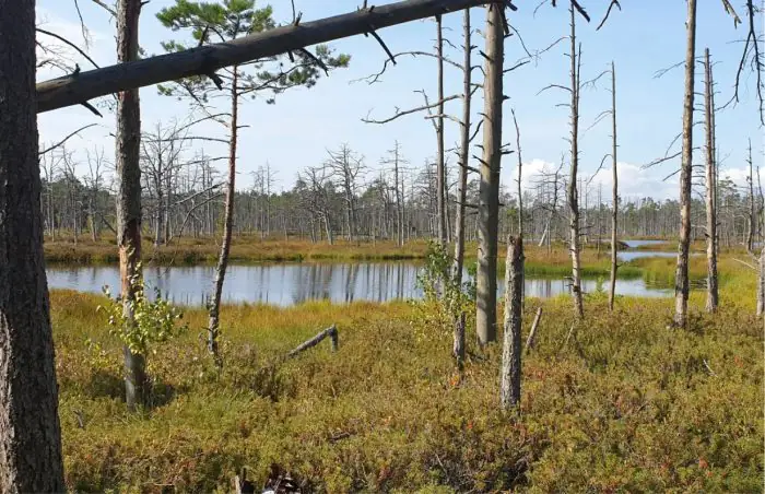 Oriģinālas idejas vecmeitu un vecpuišu ballītēm Rīgā